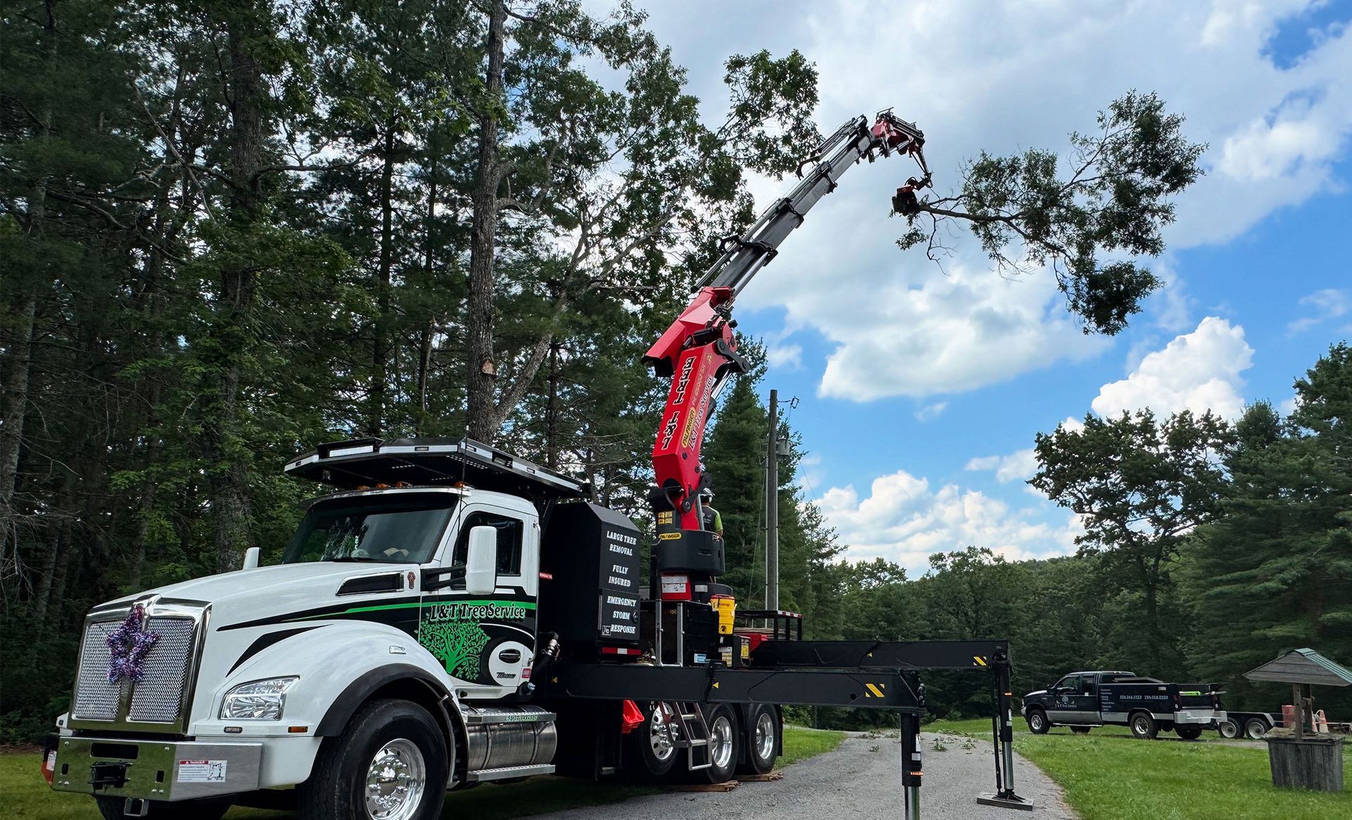 L & T Tree Service