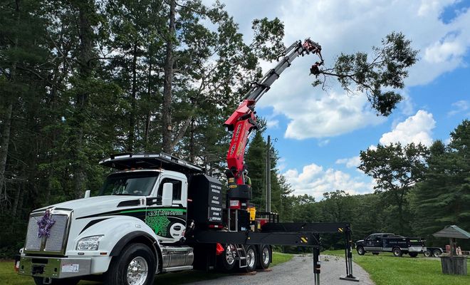 L & T Tree Service