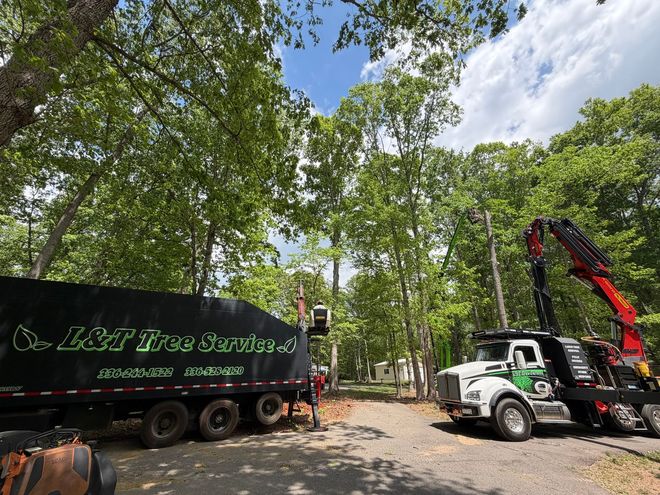 L & T Tree Service