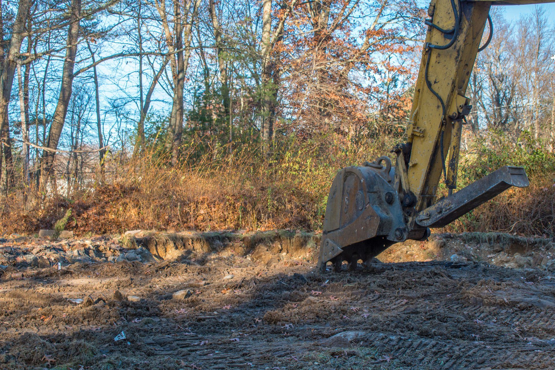 Lot clearing service