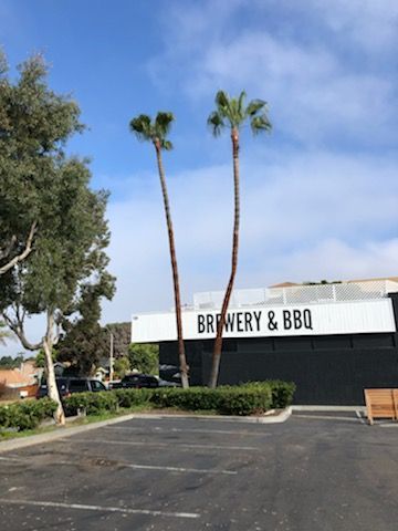 Empty parking lot outside a brewery and BBQ restaurant with tall palm trees and blue sky.