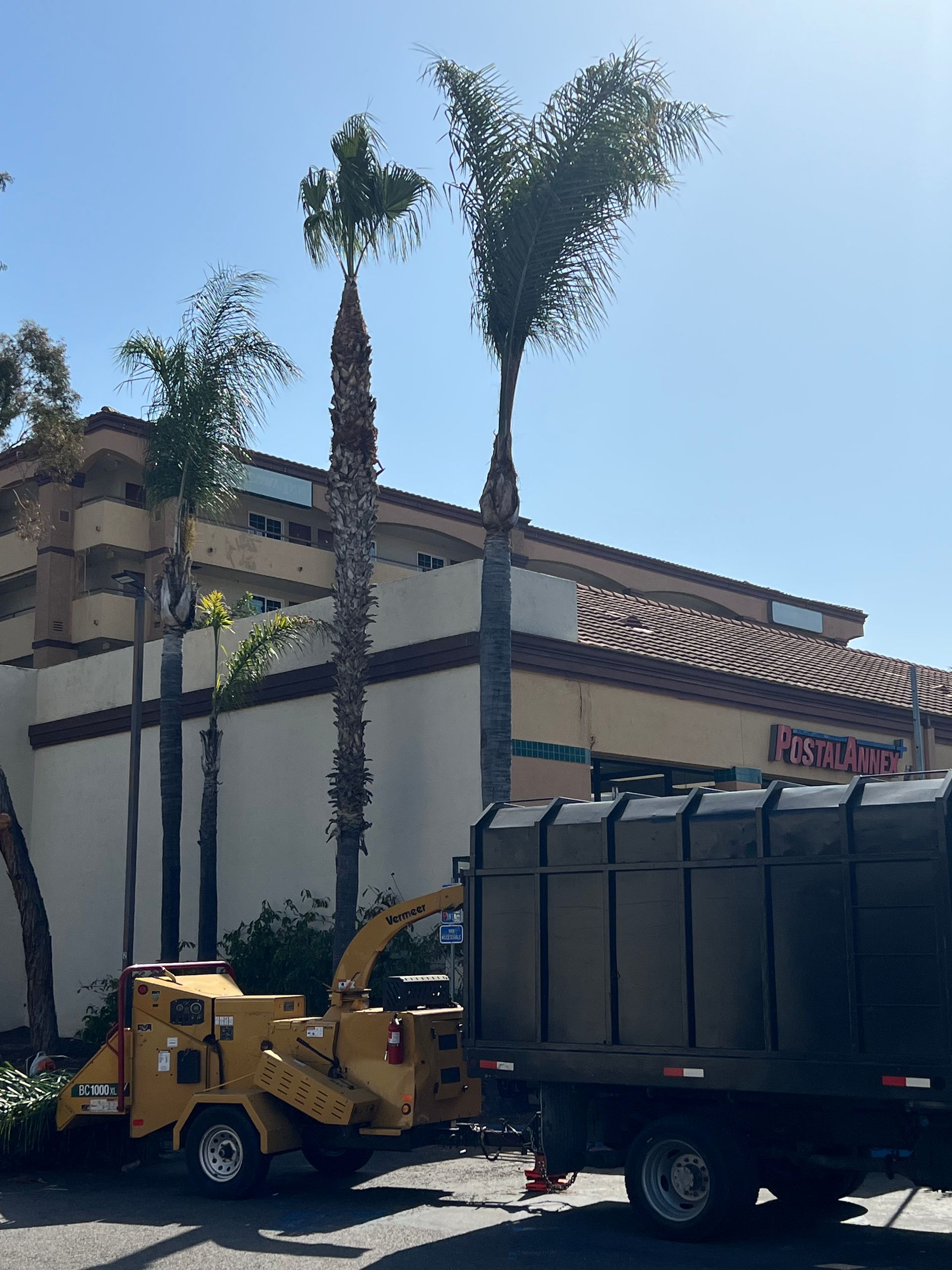 Yellow utility vehicle beside a black truck in front of a building with tall palm trees under a clear sky