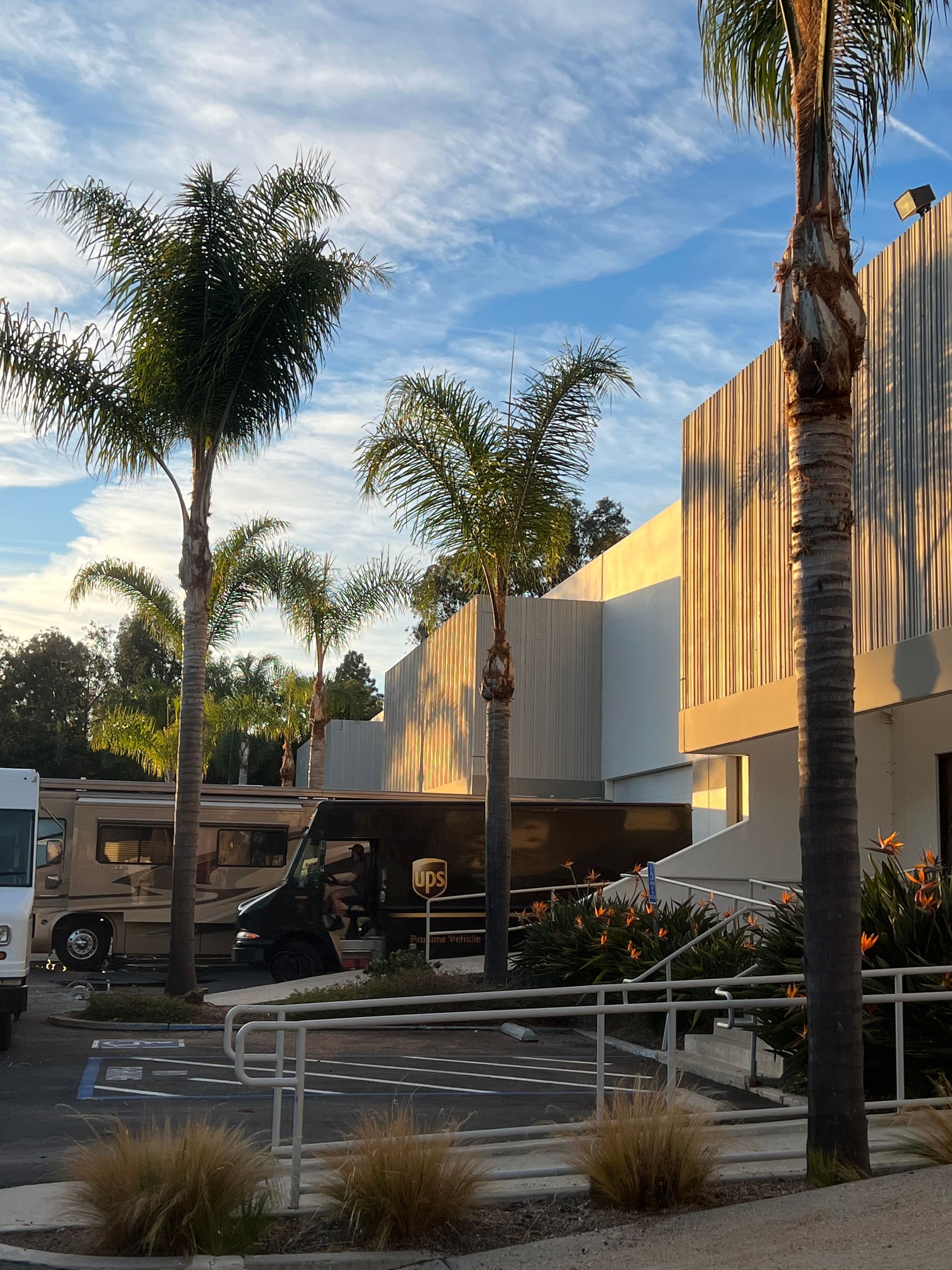 Palm-lined outdoor plaza with modern buildings, benches, and a water feature at sunset