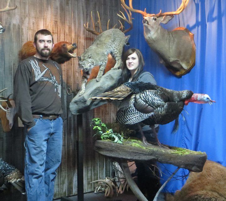 Game heads and bird taxidermy