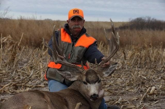 Game heads taxidermy