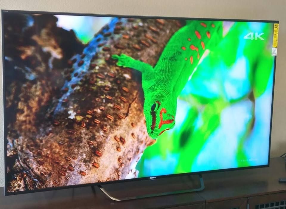 TV screen showing a vibrant green gecko on a tree branch; 4K display.