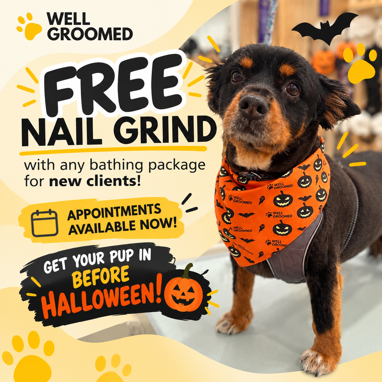 Well Groomed Pets - Queen Creek - Free Nail Grind Promotion