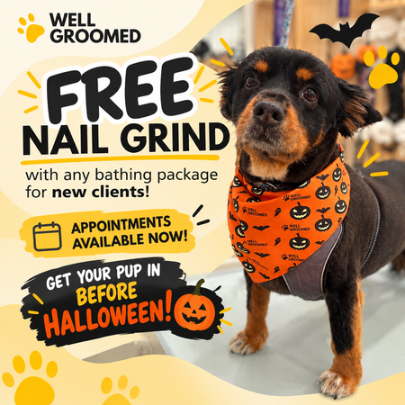 Well Groomed Pets - Queen Creek - Free Nail Grind Promotion