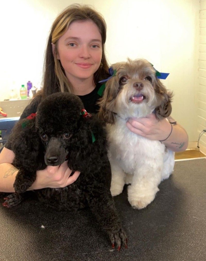 A woman is holding two dogs on a table.