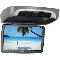 Car ceiling-mounted flip-down monitor displaying a tropical beach scene