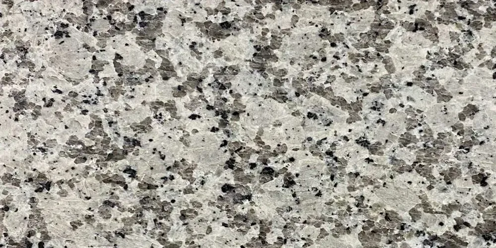 Swan Gray