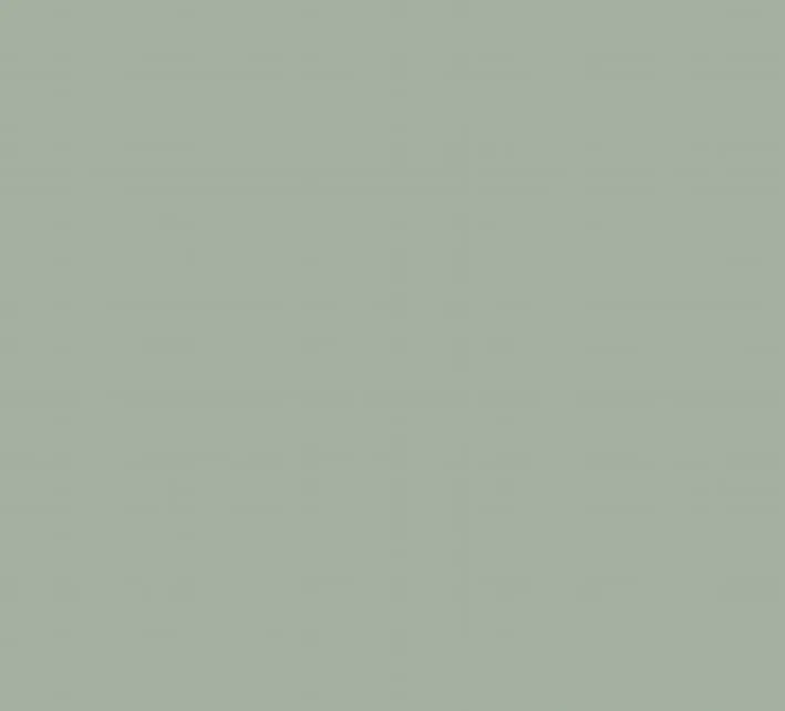 Agave SM