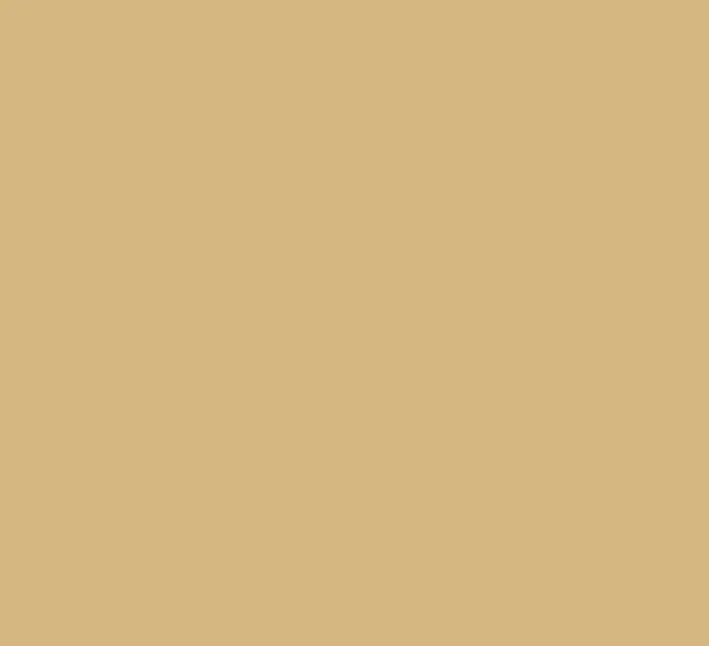 Camel SM