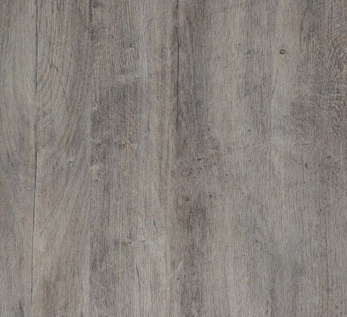 Lakeland Oak 2