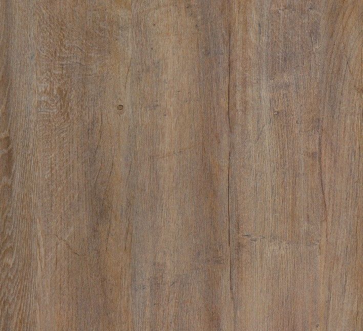 Lakeland Oak 3