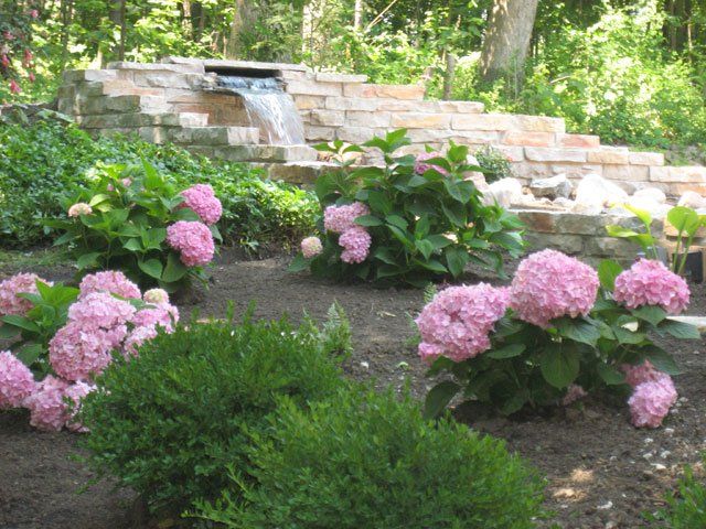 Salinas Brothers Inc. photo gallery