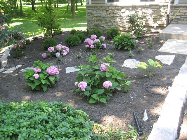 Salinas Brothers Inc. photo gallery