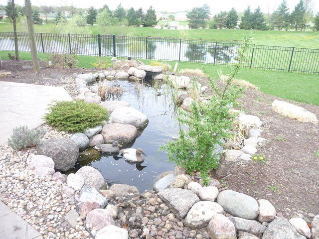 Salinas Brothers Inc. photo gallery