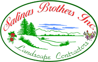 Salinas Brothers Inc. logo
