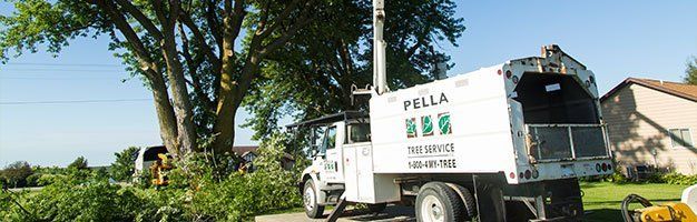 Storm Damage Tree Services