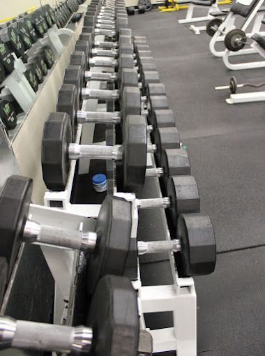 A row of dumbbells are lined up in a gym