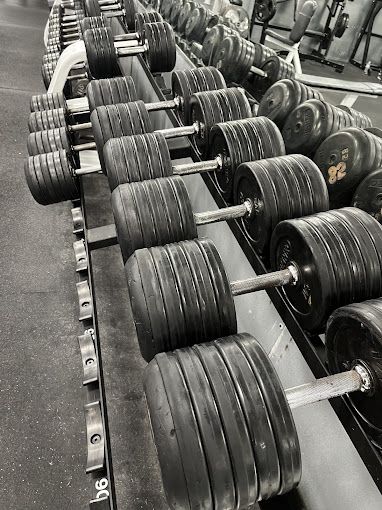 A black and white photo of a row of dumbbells in a gym.