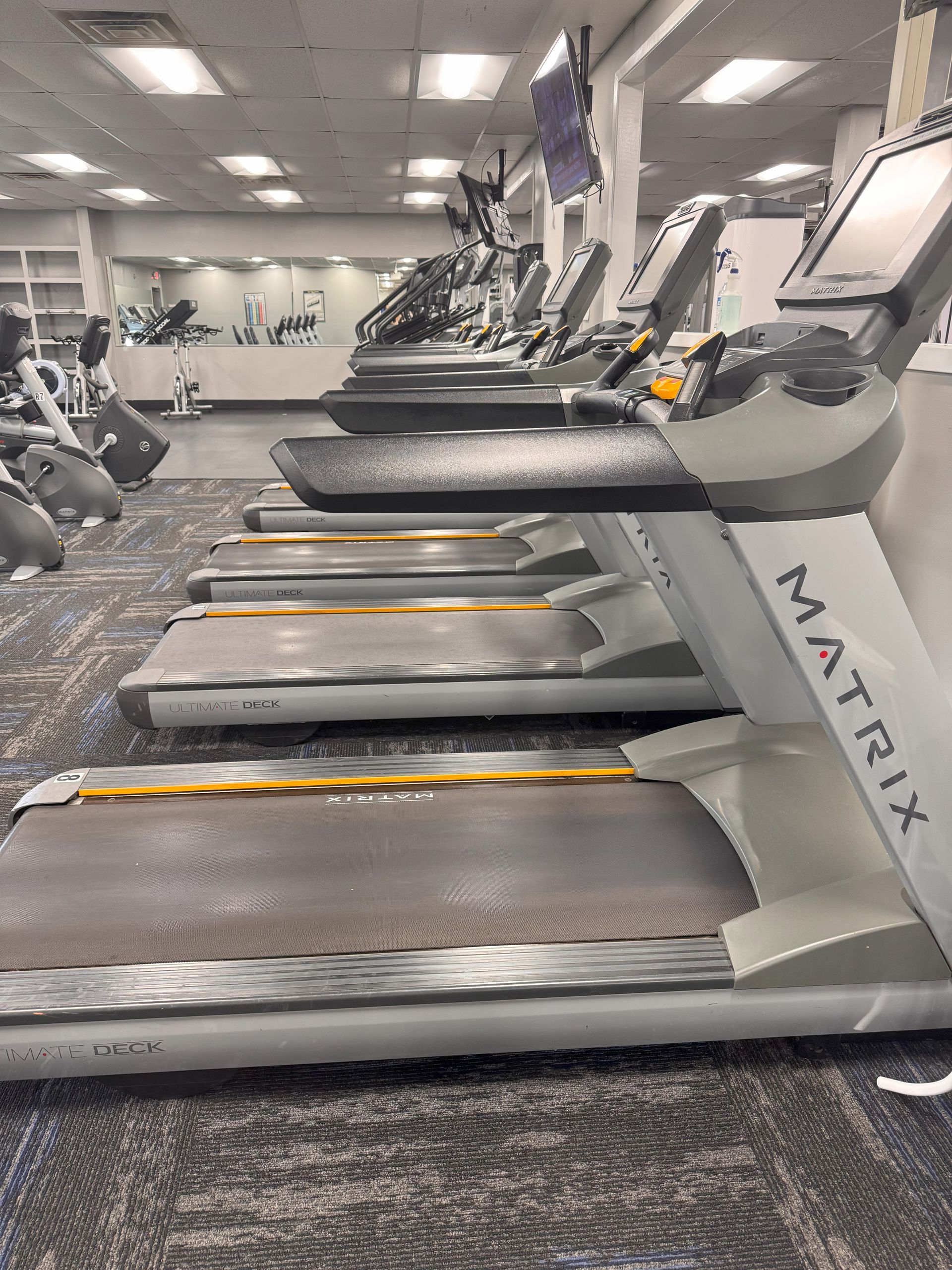 A row of treadmills are lined up in a gym