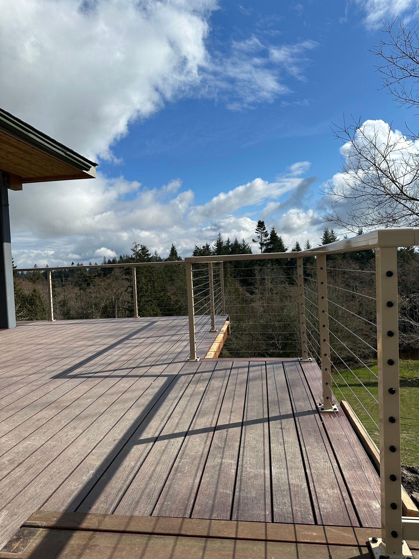 Beautiful black stainless-steel glass railing