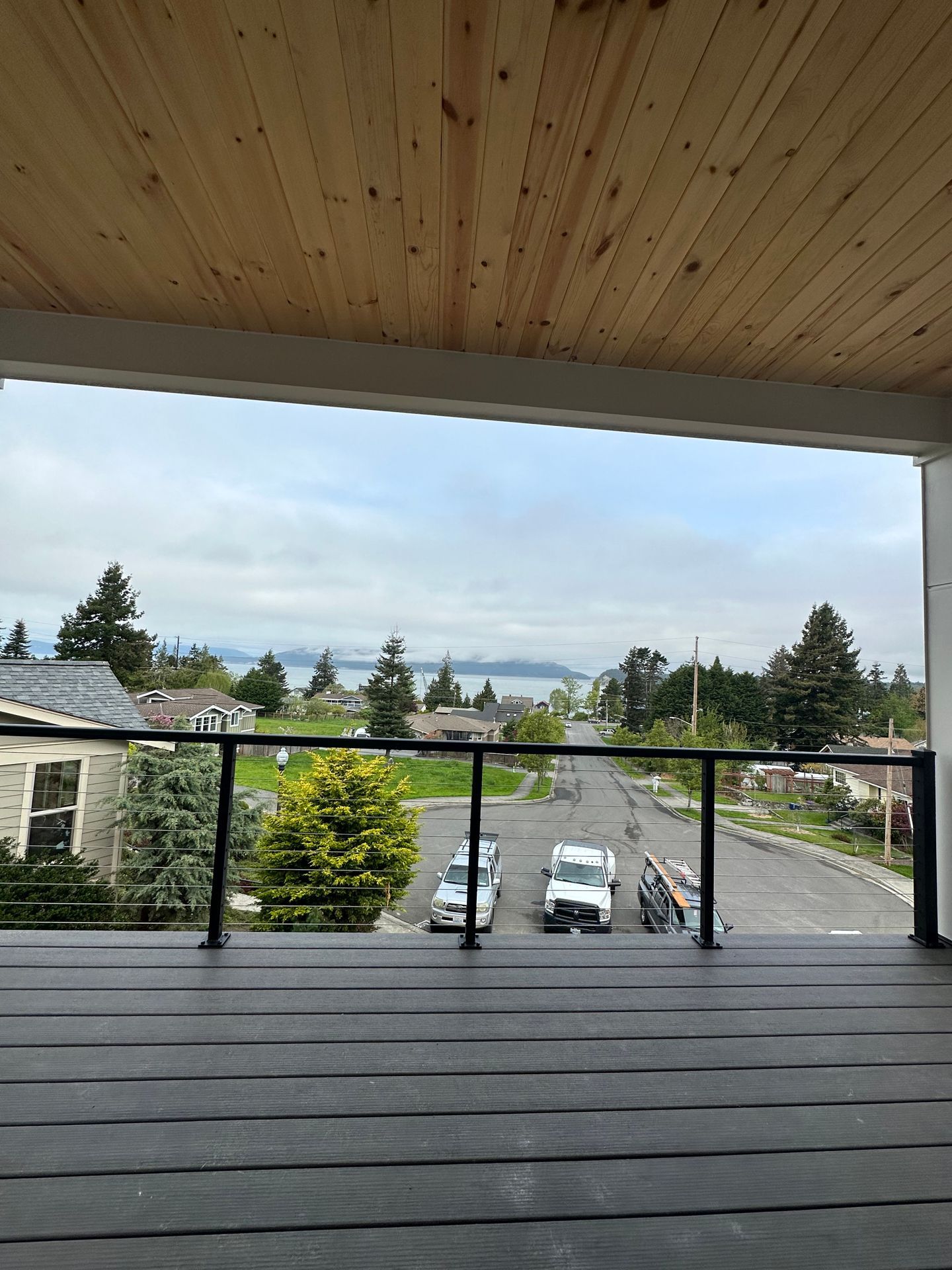 Custom-built cable railing black