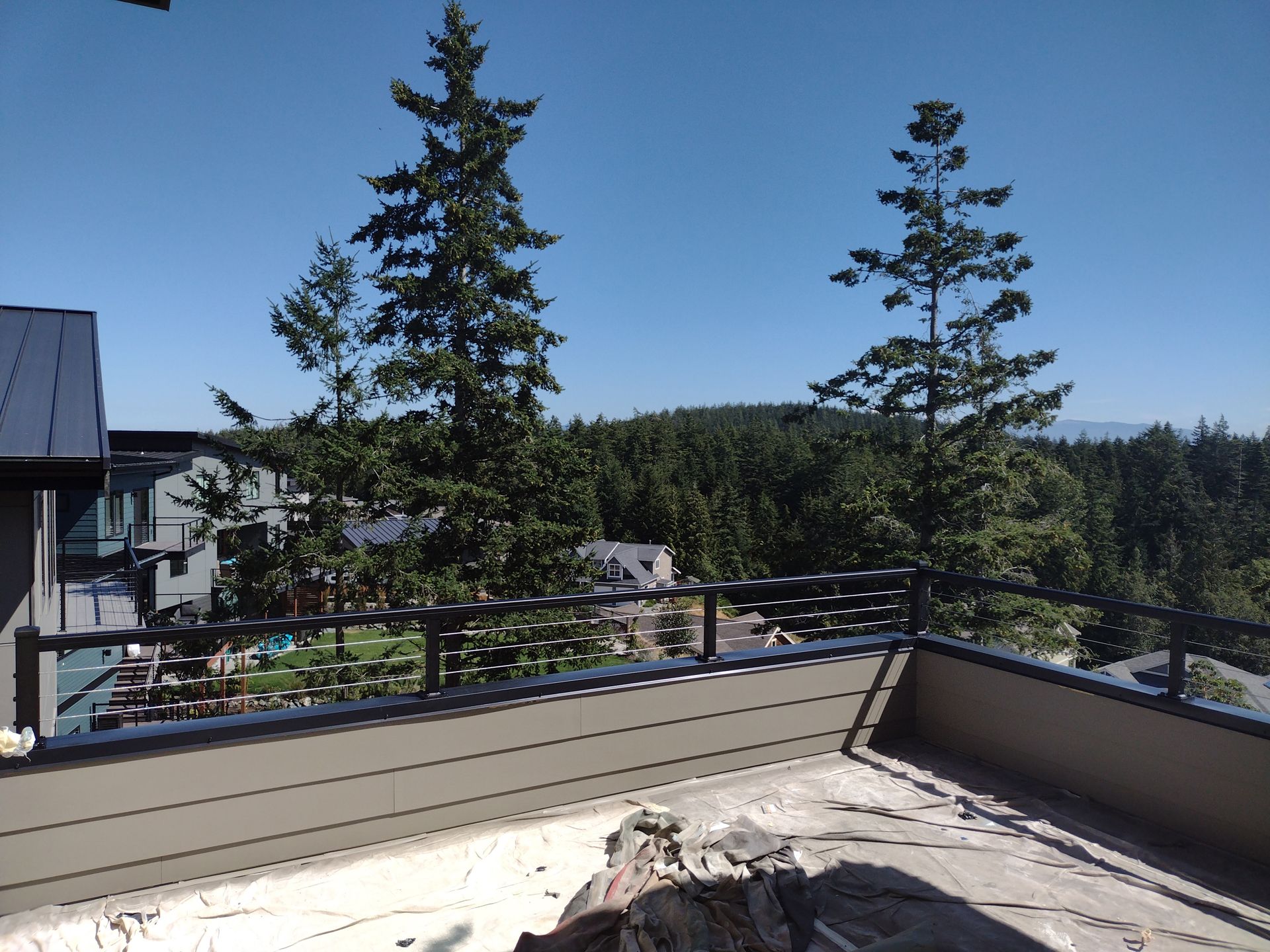 Stainless-steel railing black