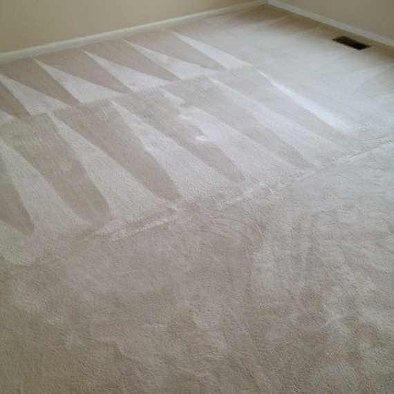 Beige carpet with vacuum-cleaned stripes in a room corner