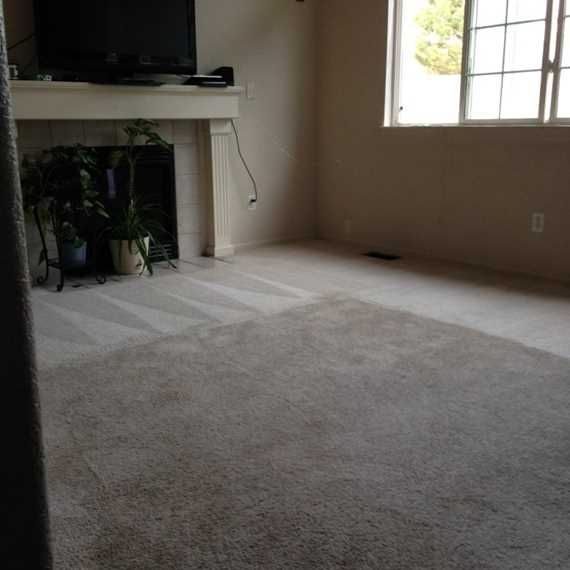 Empty carpeted living room with a fireplace, plants, and sunlight from a window
