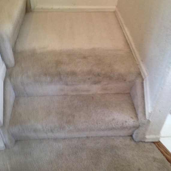 Carpeted indoor staircase with visible dirt stains and worn steps.