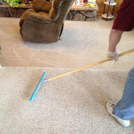 Person using a blue floor squeegee on beige carpet in a living room