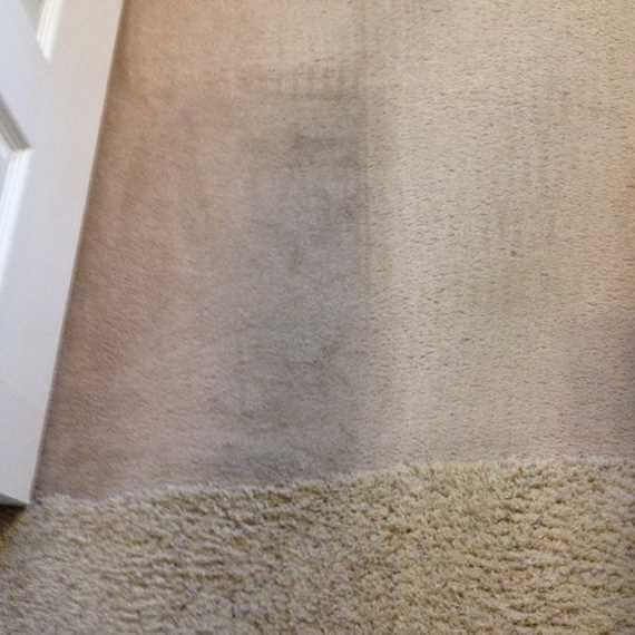 Carpeted floor with a faint dark stain near the edge of a white wall.