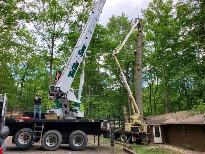 Tree Service truck #1