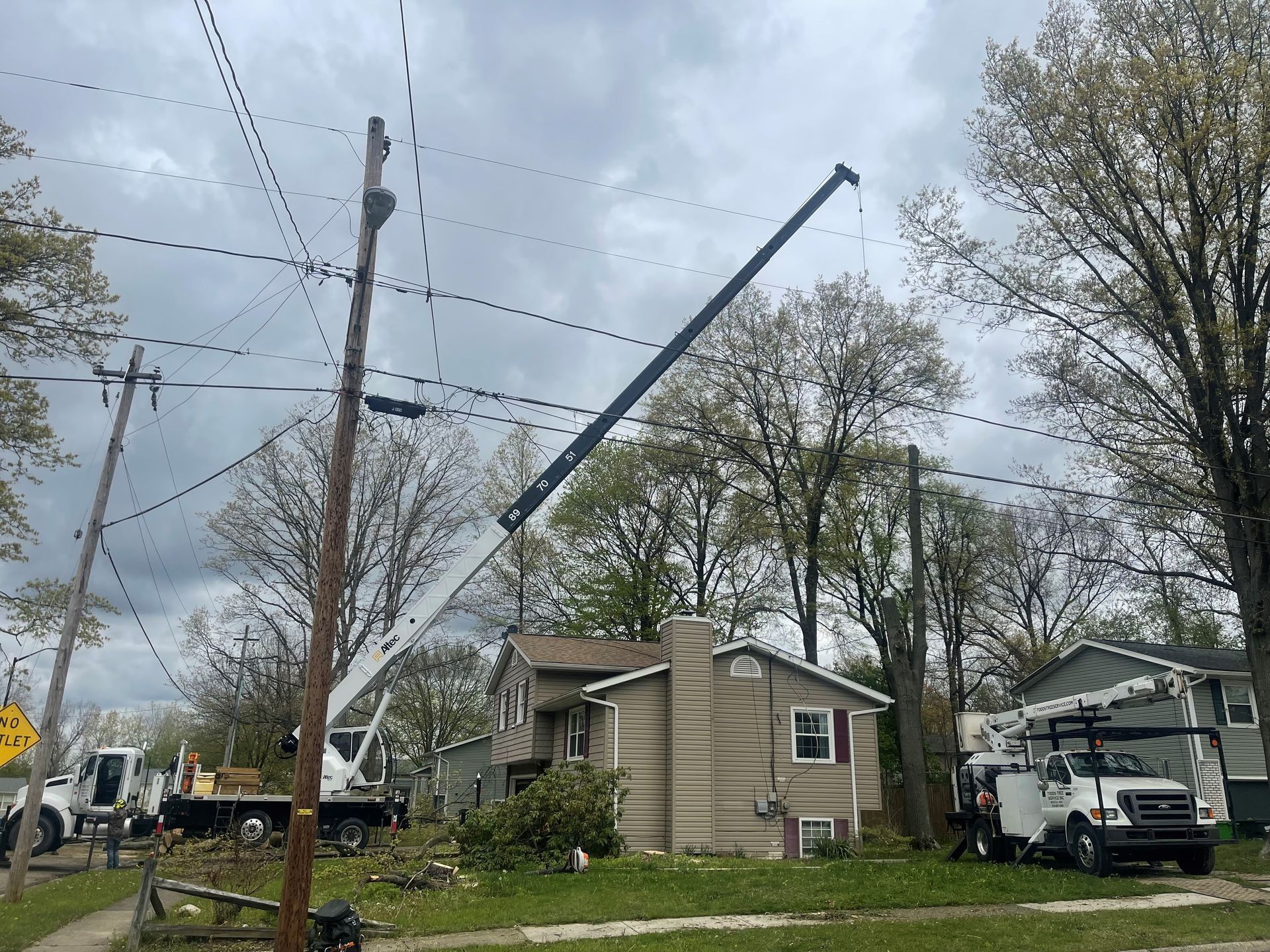Tree service truck #5