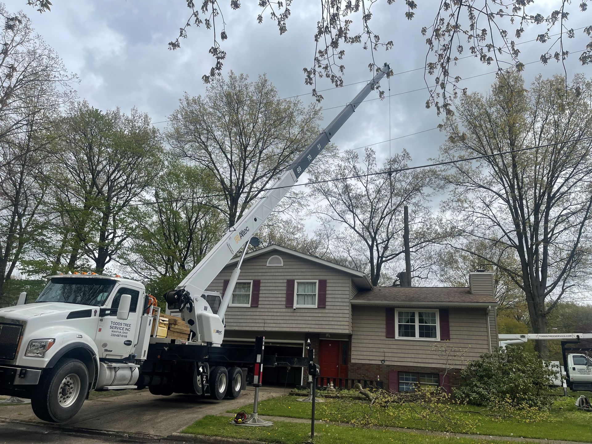 Tree service truck #4