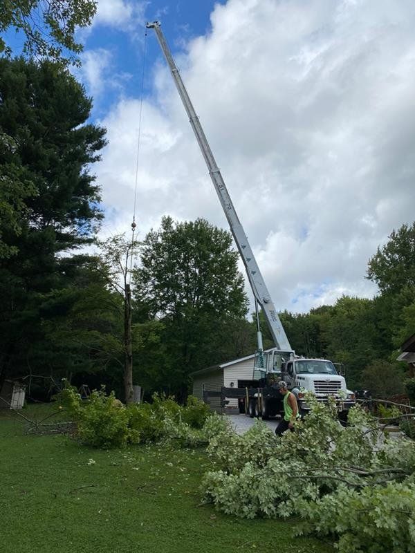 Tree service