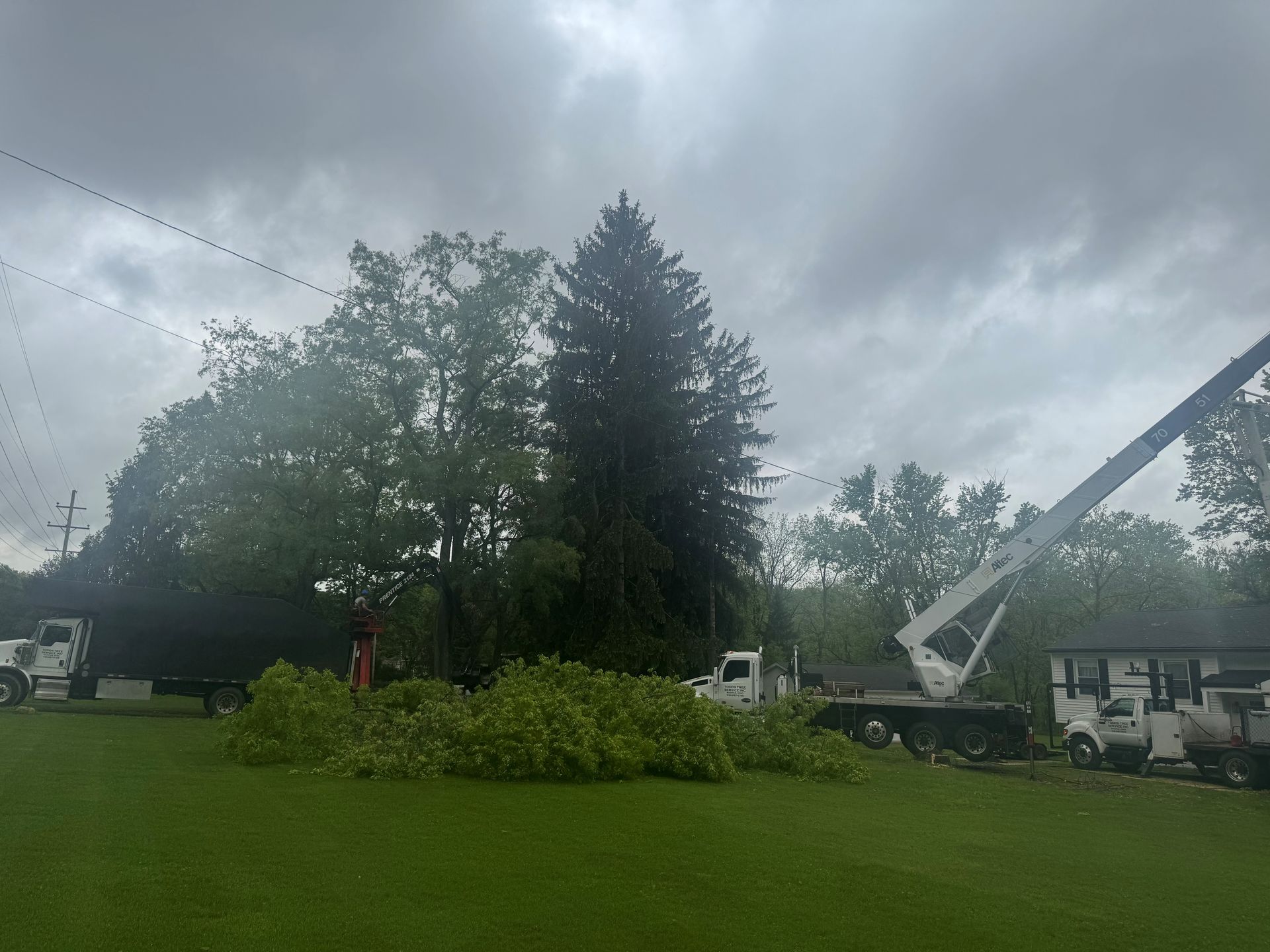 A crane is cutting a tree in a yard.