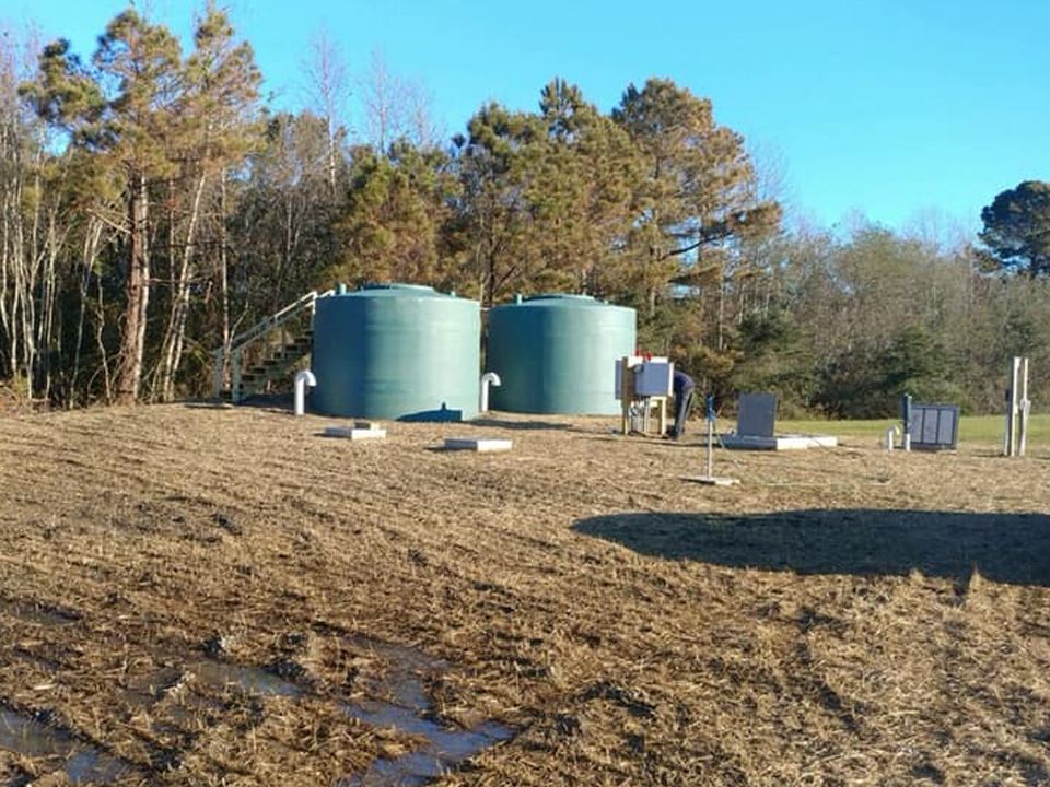 Two green tanks in a field with trees in the background