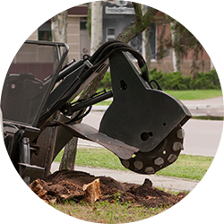 Stump removal