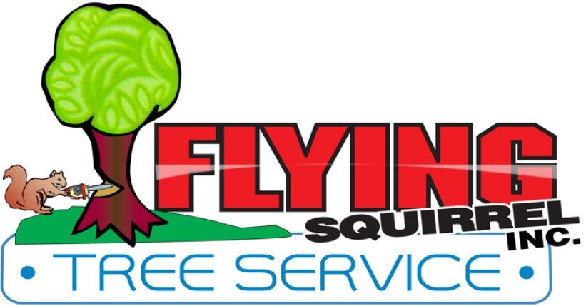 Flying Squirrel Tree Service - Logo