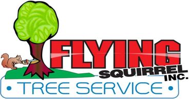 Flying Squirrel Tree Service - Logo