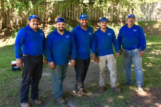 Five man crew at Flying Squirrel Tree Service