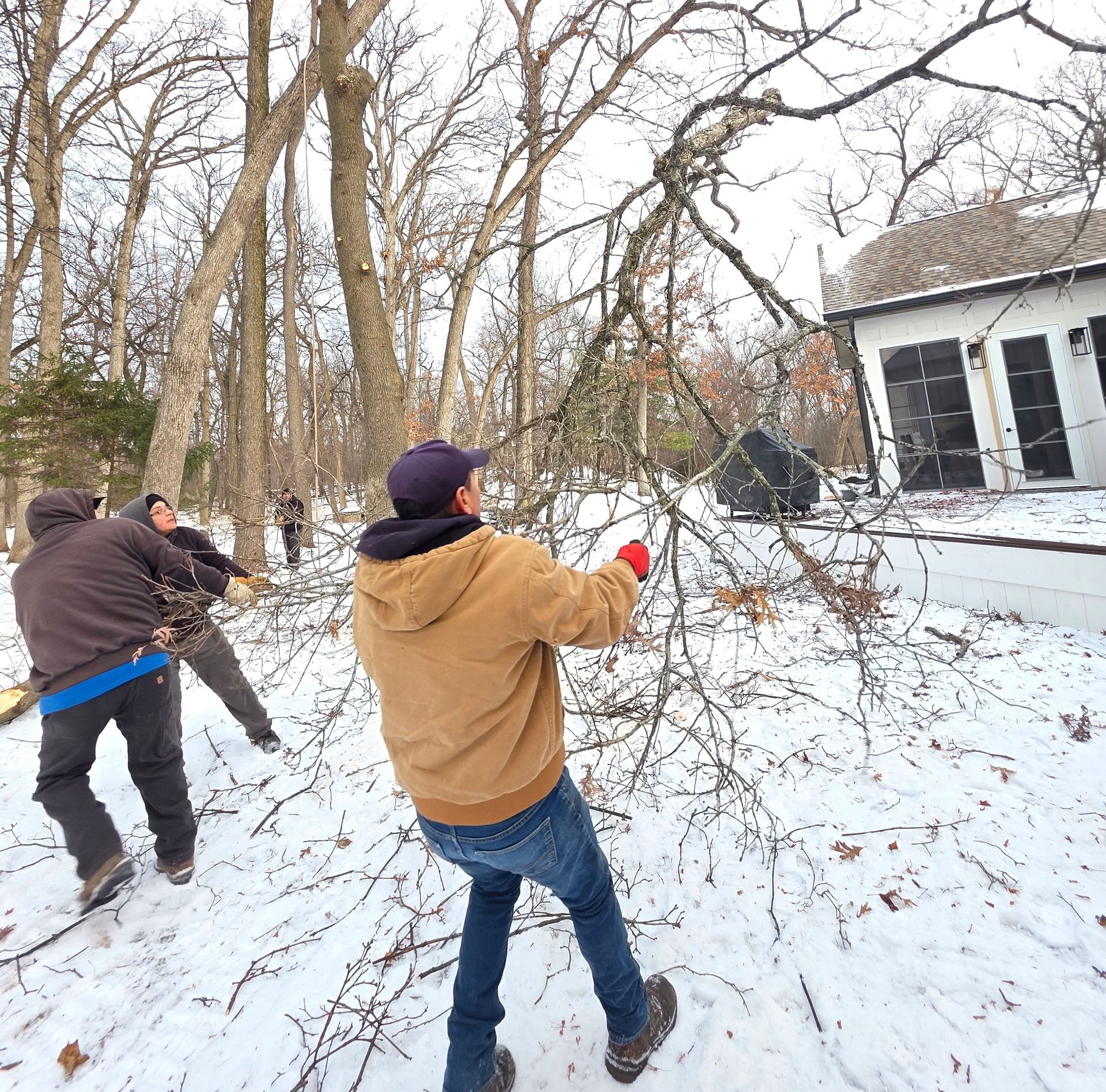 Three people pulling a tree branch, covered in snow, near a house.