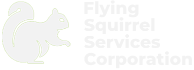 Flying Squirrel - Titan Pest Services