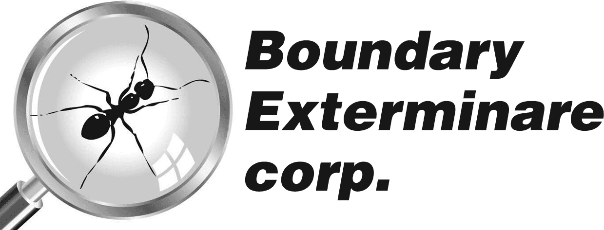 Boundary Exterminare corp LOGO