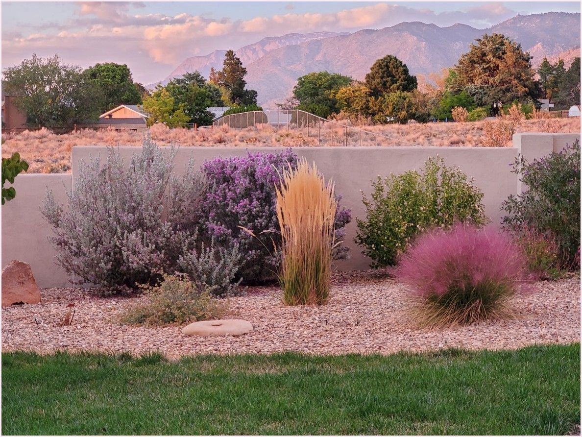 Landscaped garden bed with various colorful plants in front of a wall with mountains in the background.