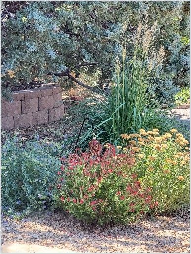Garden bed with various plants, including red and yellow blooms and tall grasses, in front of a tree.